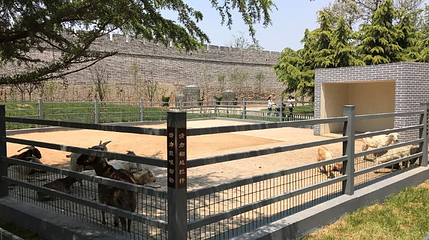 汴京公园第 1 张图片