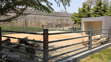 汴京公园第 7 张图片