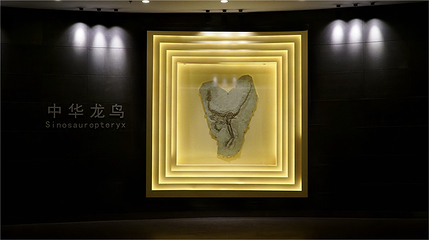 辽宁朝阳鸟化石国家地质公园第 83 张图片