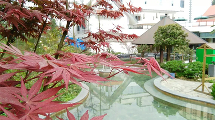 汇川国际温泉旅游城第 32 张图片