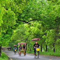 海宁盐官旅游度假区