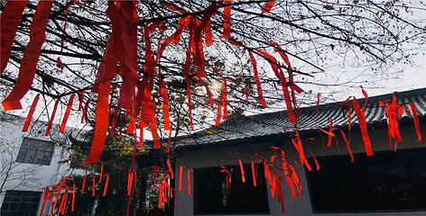 双沟酒文化旅游区第 25 张图片