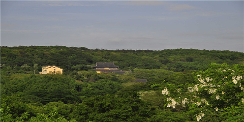 铁山寺国家森林公园第 114 张图片