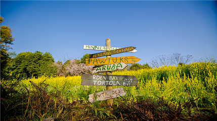 炫彩万木源第 16 张图片