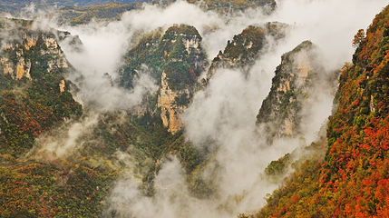 九路寨生态旅游区第 80 张图片