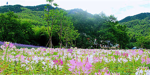 天仙峡景区第 11 张图片