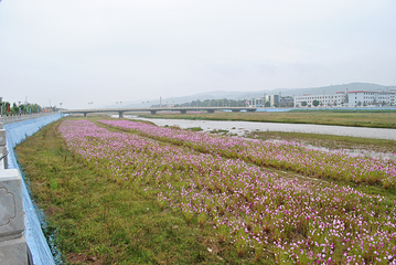 山西静乐汾河川国家湿地公园第 3 张图片