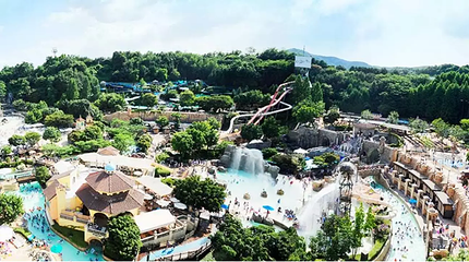 加勒比海湾第 9 张图片