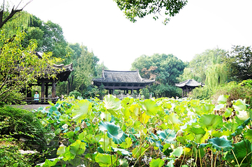 沈园第 8 张图片