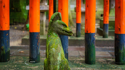 日光二荒山神社第 12 张图片