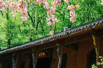 琅琊寺第 15 张图片