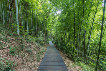 上海佘山国家旅游度假区第 27 张图片
