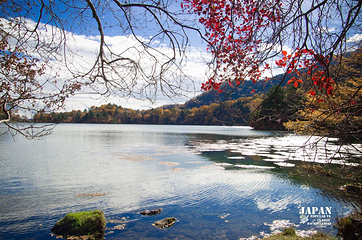中禅寺湖第 4 张图片