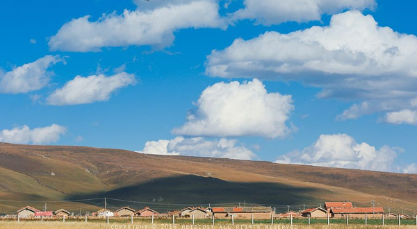 德令哈尕海国家湿地公园