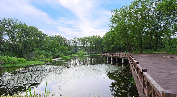 九龙国家湿地公园