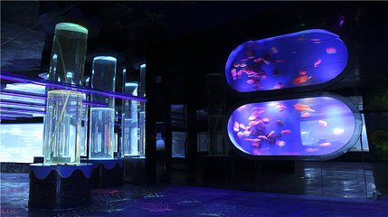 延安幻太奇海洋公园第 43 张图片
