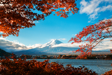 富士山第 8 张图片