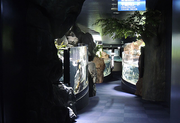 千岁水族馆第 21 张图片