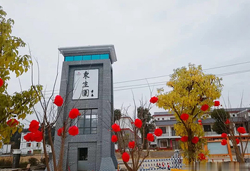 东生围第 31 张图片