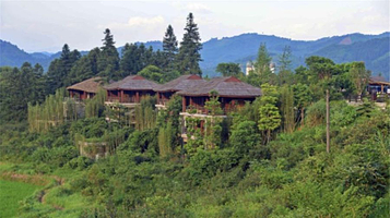 都市森林康养基地