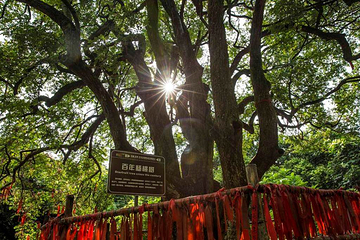 蓬莱洲时光岛旅游度假区第 17 张图片