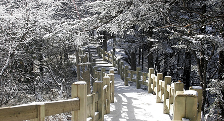 西岭雪山大飞水风景区第 21 张图片
