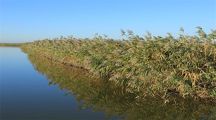 东方华地城湿地风景区第 5 张图片