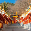 兰州石佛沟国家森林公园
