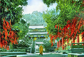 龙山风景区第 6 张图片