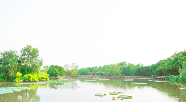 南沙湿地寻梦园