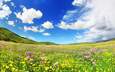 俄么塘花海景区第 1 张图片