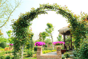 同心花海第 8 张图片