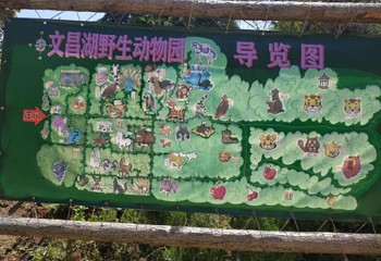 文昌湖萌宠动物园第 15 张图片