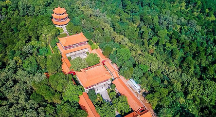 三水森林公园第 20 张图片