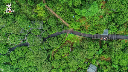 树山生态村第 20 张图片
