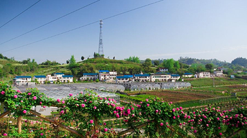 花芊谷农业科技园
