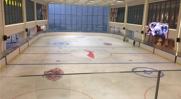 全明星滑冰俱乐部(龙湖狮山天街店)