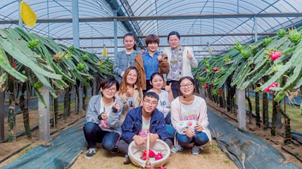 合庆火龙果庄园第 4 张图片