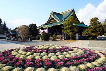 成田山公园第 3 张图片