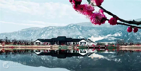 灌云梅园景区第 3 张图片
