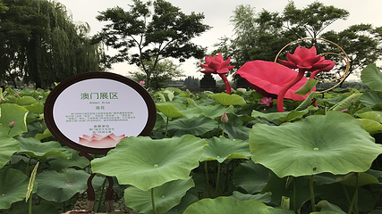 大观公园第 28 张图片