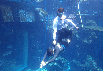 海棠湾潜水第 10 张图片