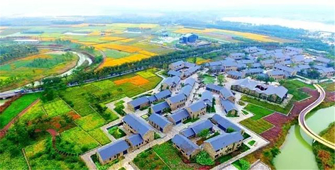 三台山国家森林公园第 124 张图片