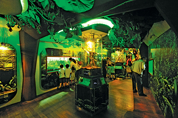 吉隆坡城中城水族馆第 9 张图片