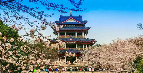 无锡市太湖鼋头渚风景区第 190 张图片