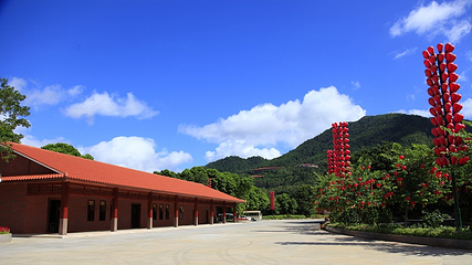 雁南飞茶田景区第 46 张图片