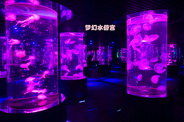 南昌海洋公园第 18 张图片