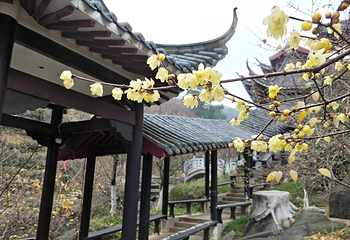 梅岭太阳谷第 15 张图片