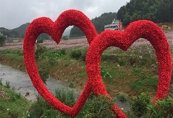 桃源里旅游度假区-花海乐园第 25 张图片