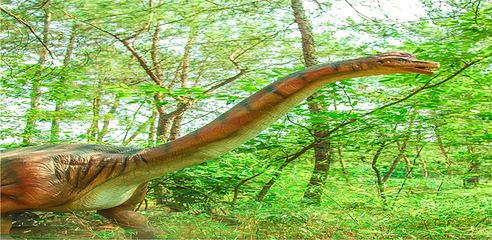 武汉松鼠部落森林假日公园第 15 张图片
